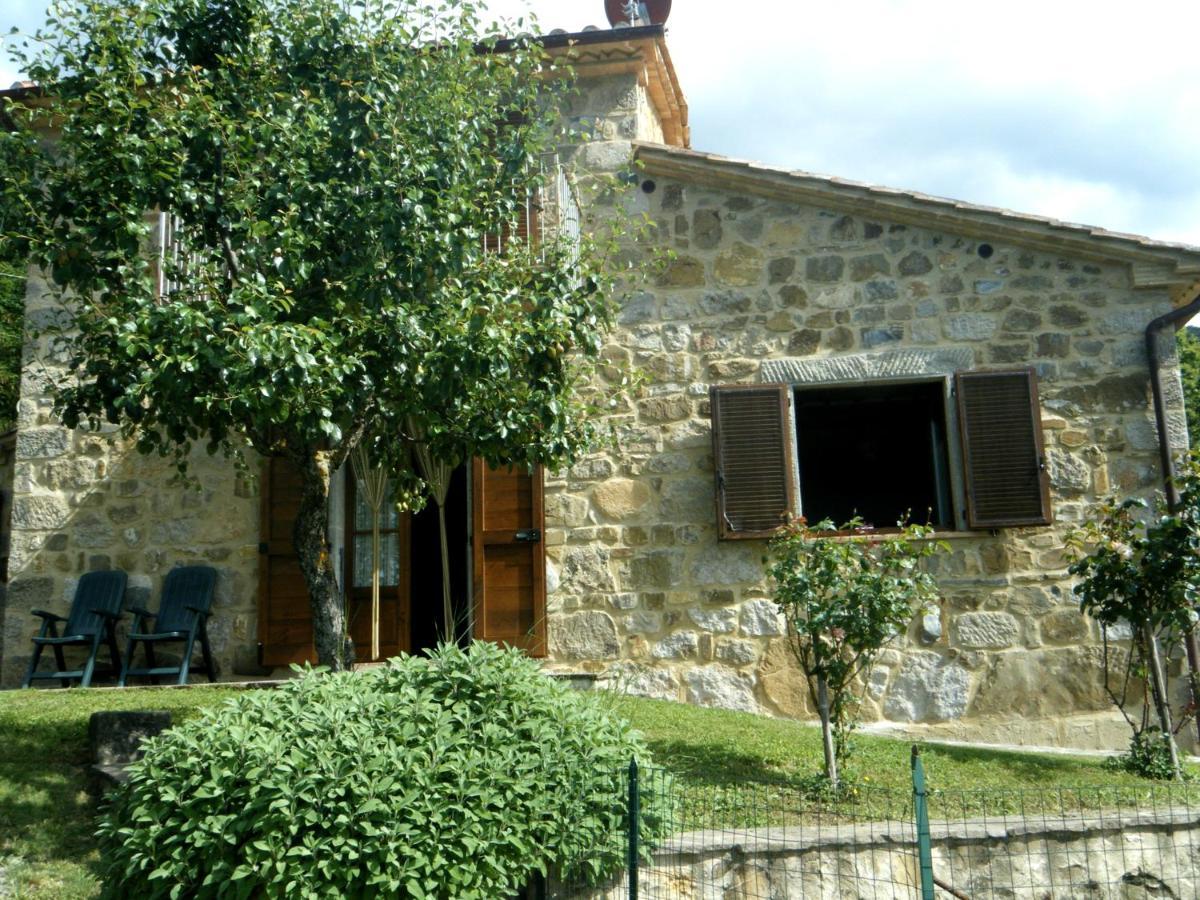 Agriturismo Ombianco Seggiano Εξωτερικό φωτογραφία