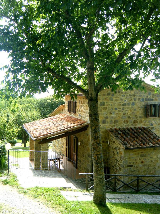 Agriturismo Ombianco Seggiano Εξωτερικό φωτογραφία
