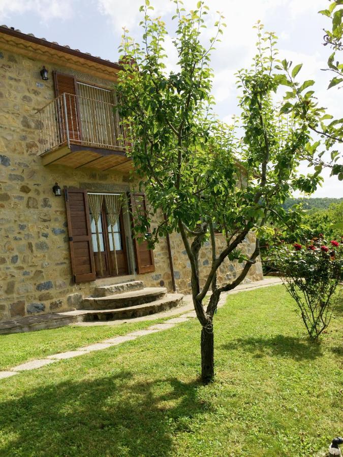 Agriturismo Ombianco Seggiano Εξωτερικό φωτογραφία